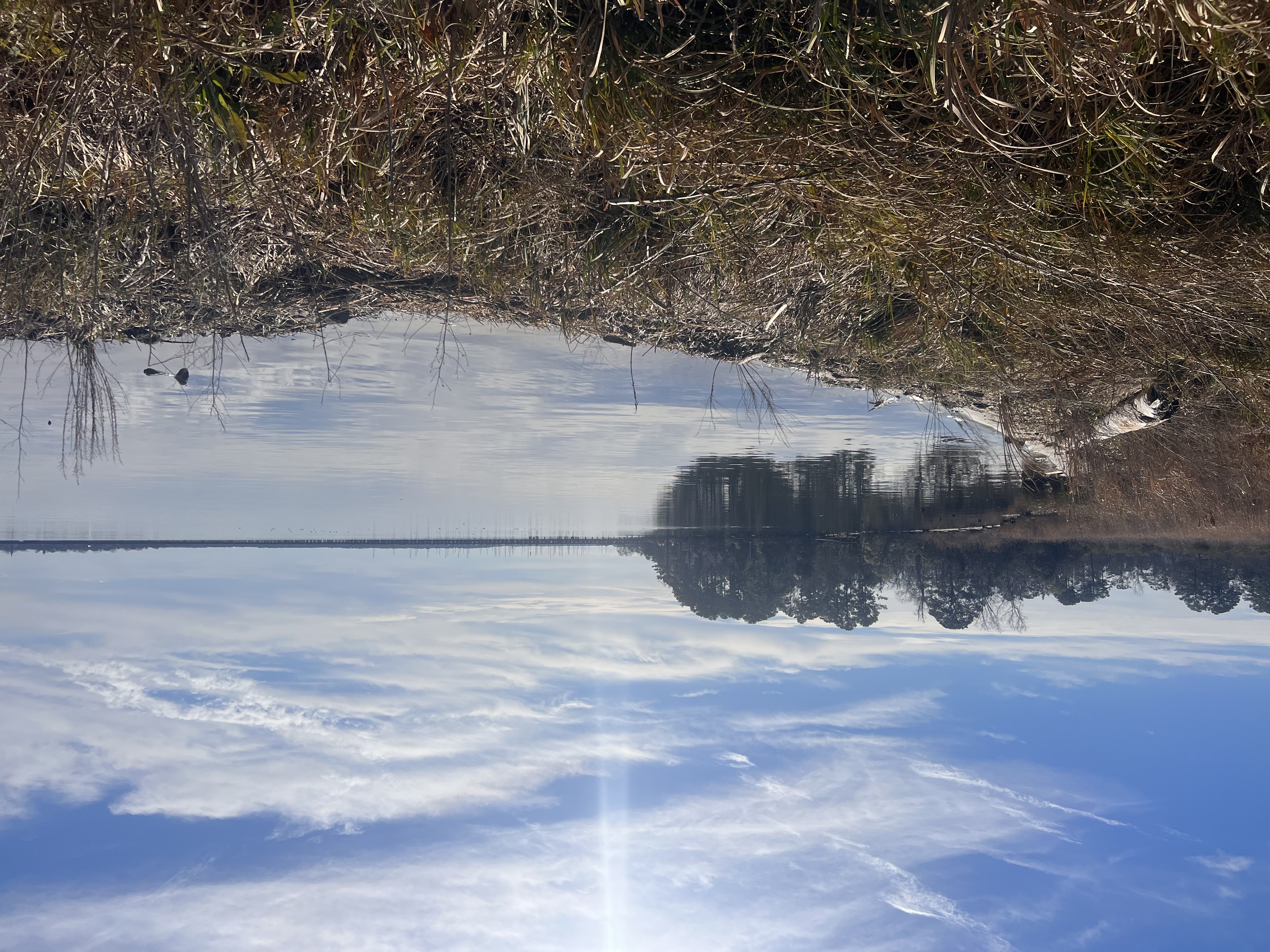 ./2023/01 - New Bern/IMG_6328.JPG